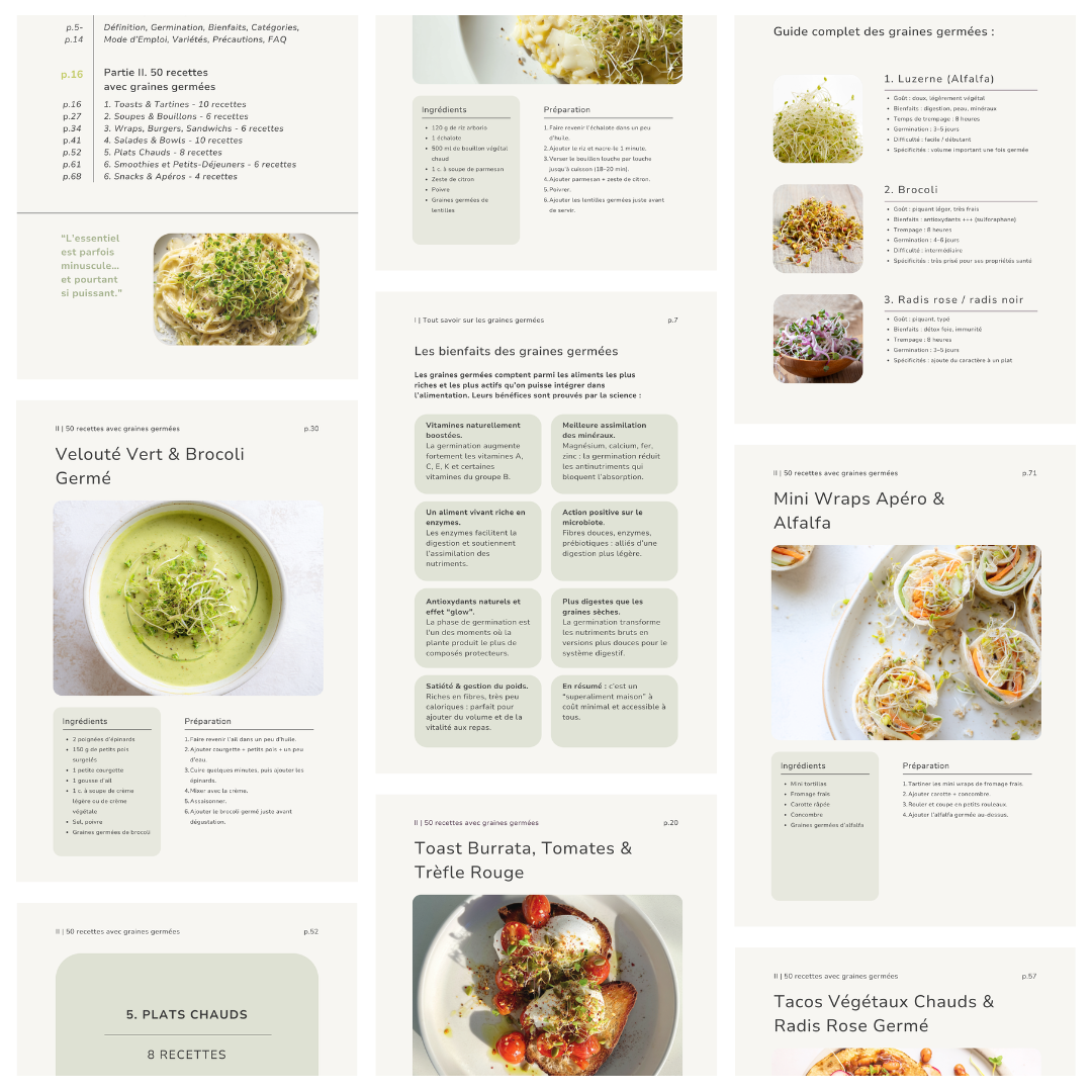 Graines Germées : Guide Ultime & Recettes (E-BOOK)
